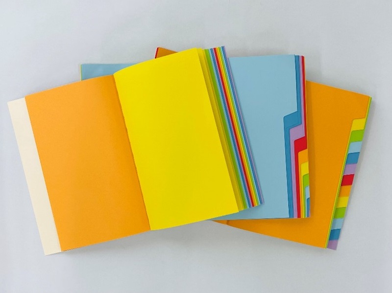 見出し抜きの写真